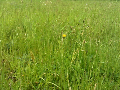 Artenvielfalt - © Gerd Lange Artenvielfalt