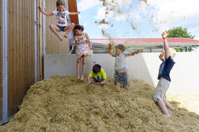 - © Hans-Jürgen Wege/Tonwert21 Fotografie Lüneburg Fünf Kinder spielen fröhlich auf einem Heuhaufen. Zwei springen, drei stehen oder knien. Es ist sonnig.