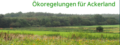 - © Hauke Ahnemann Ökoregelung für Ackerland