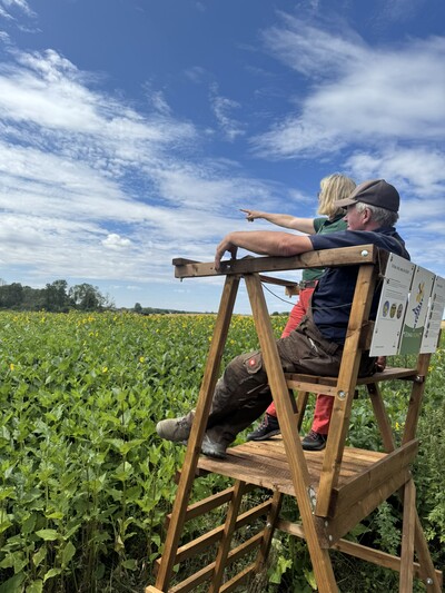 Vom Hochstand aus blicken Landwirt Holger Bese und Landschaftskoordinatorin Dr. Annette Bartels auf den Beginn der Silphieblüte. - © Nora Kretzschmar Silphie / Hochstand am Feldrand
