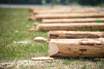 Finale des Berufswettbewerbs der deutschen Landjugend am 21.06.2023 im Landwirtschaftlichen Bildungszentrum in Echem.