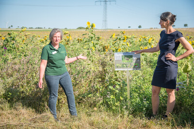 LWK-Biodiversitätsberaterin Martina Diehl (l.) und Agrarministerin Miriam Staudte auf einer Fläche speziell für den Rebhuhnschutz bei Wolfenbüttel-Leinde. - © Wolfgang Ehrecke LWK-Biodiversitätsberaterin Martina Diehl (l.) und Agrarministerin Miriam Staudte auf einer Fläche speziell für den Rebhuhnschutz bei Wolfenbüttel-Leinde.