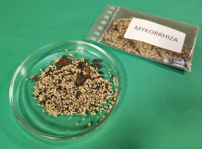 Mykorrhiza-Pilze als Bodenhilfsstoff