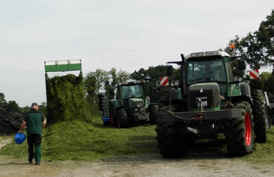 Grassilage - © Dr. Christine Kalzendorf Grassilage