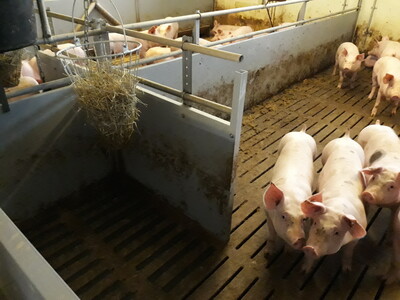 Heuraufe und Schaffung Funktionsbereich