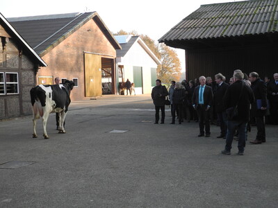 Dieter Schulte stellte anhand der präsentierten Kühe seine Zuchtschwerpunkt dar - © Dr. Hans-Gerd Brunken Dieter Schulte stellte anhand der präsentierten Kühe seine Zuchtschwerpunkt dar