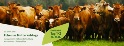 Mutterkuhtage Echem