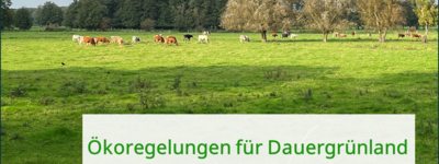 - © Hauke Ahnemann Dauergrünland