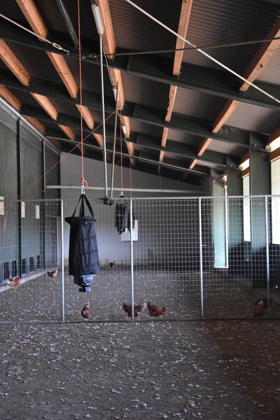 Körnerstreuer (Fa. Dörr) im Wintergarten - © Anna Riedel / Stiftung Tierärztliche Hochschule Hannover Körnerstreuer (Fa. Dörr) im Wintergarten