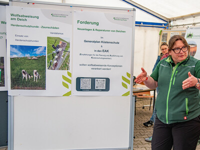 LWK-Herdenschutzkoordinatorin Elke Steinbach erl&auml;utert beim 2. Echemer Zauntag Projekte f&uuml;r eine Verbesserung des Herdenschutzes am Deich.