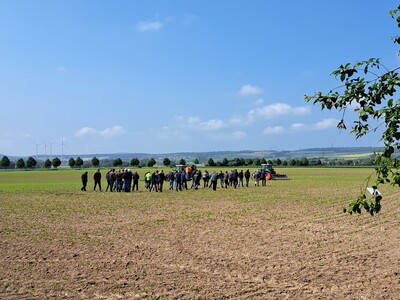 Feldtag 2023, Hacke-Bandspritzung in Zuckerrüben