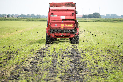 Das f&uuml;r die Pilotstudie ausgehobene Baggergut aus der Ems wurde nach kurzem Transport auf einer Gr&uuml;nland-Versuchsfl&auml;che im Rheiderland ausgebracht.