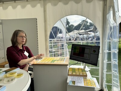 Dr. Stephanie Holzhauer (Th&uuml;nen-Institut), wiss. Projektkoordinatorin von FInAL, erkl&auml;rt das Biodiversit&auml;tsspiel zur Gestaltung einer optimierten Landschaft f&uuml;r die Erdhummel.