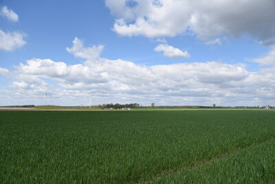 Auf dieser Versuchsfläche in Schwüblingsen wollen die LWK und das LBEG in den kommenden zwölf Jahren wichtige Erkenntnisse für die Bereiche des Düngerechts und des Wasserschutzes gewinnen.