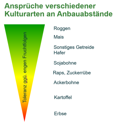 Anbauabstände verschiedener Kulturen - © Kai-Hendrik Howind Anbauabstände verschiedener Kulturen