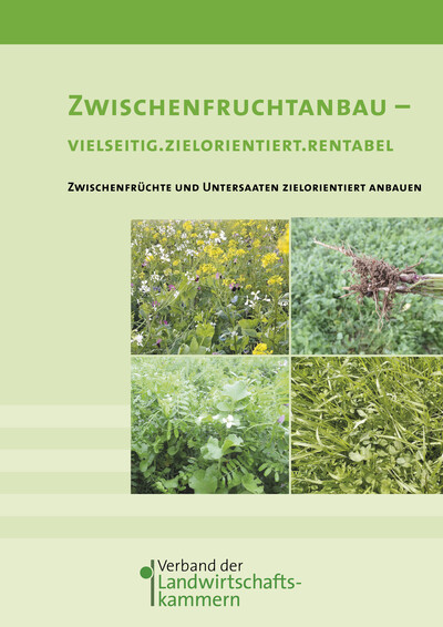 Praxishandbuch Zwischenfruchtanbau - © Isabell Eilers Praxishandbuch Zwischenfruchtanbau