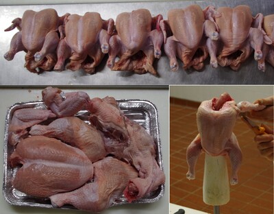 Projekt CarboFeet- Zerlegung - © Mathias Klahsen Projekt CarboFeet- Zerlegung