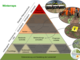 Maßnahmenpyramide für den integrierten Pflanzenschutz in Winterraps - © Steffen Konnemann / Georg-August-Universität Göttingen bearbeitet von Iris Schaper / LWK Niedersachsen Maßnahmenpyramide für den integrierten Pflanzenschutz in Winterraps