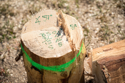 Finale des Berufswettbewerbs der deutschen Landjugend am 21.06.2023 im Landwirtschaftlichen Bildungszentrum in Echem.