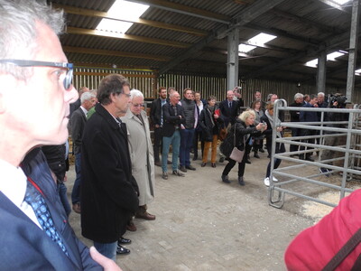 Die Gäste sind beeindruckt von der Zuchtherde - © Dr. Hans-Gerd Brunken Die Gäste sind beeindruckt von der Zuchtherde