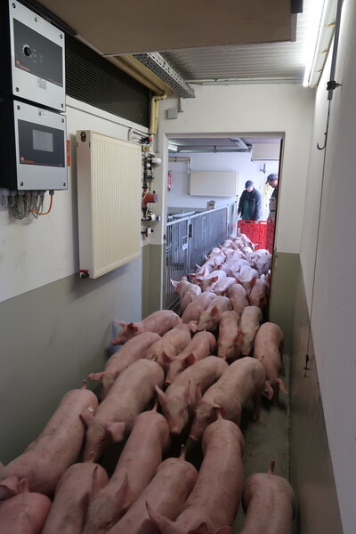 Einstallen - © Wolfgang Vogt Einstallen