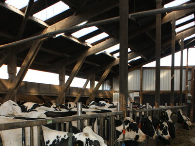 Verleihung des Staatsehrenpreises an den Betrieb Kleemann, Lütetsburg - © LWK Niedersachsen Verleihung des Staatsehrenpreises an den Betrieb Kleemann, Lütetsburg