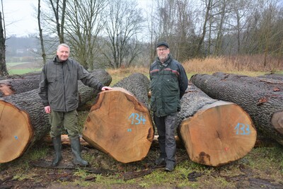 Der teuerste Eichenstamm erzielte 1.283 Euro pro Festmeter und stamm aus der Bezirksförsterei Melle-Süd, die von Förster Günter Knop (rechts) betreut wird. Jörg Görlich von der Vermarktungsorganisation der Waldbesitzer hat die Versteigerung gemeinsam mit - © Carl Hesebeck Submission Osnabrück 3