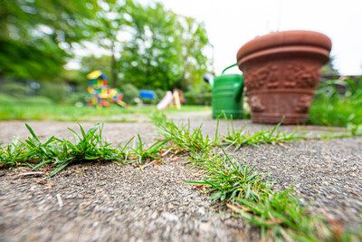 Auf Garagenzufahrten, Wegen (Foto), B&uuml;rgersteigen, Terrassen, Stra&szlig;en, Parkpl&auml;tzen und Hoffl&auml;chen ist der Einsatz von Unkrautvernichtern verboten.