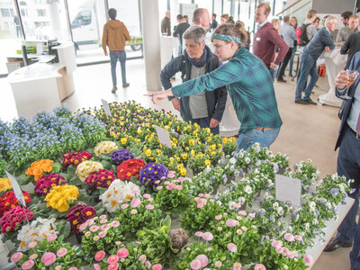 Abschlussveranstaltung für das Projekt 'TerZ - Einsatz torfreduzierter Substrate im Zierpflanzenbau' am 23.03.2023 in Hannover-Ahlem.