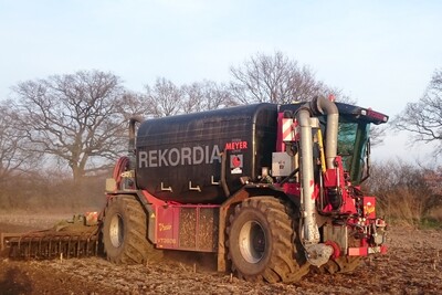 G&uuml;lled&uuml;ngung zu Mais