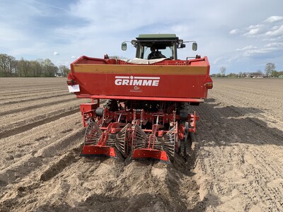 Kartoffeln pflanzen im Beetverfahren