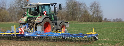 - © Markus Mücke Striegeleinsatz in Winterweizen im Frühjahr