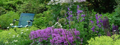 - © Almut Eilers Staudenbeet