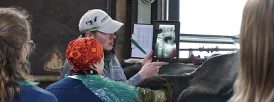 - © Jasmin Nühs Ultraschallseminar