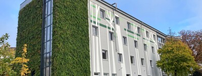 Fassadenbegrünung nachhaltig umgesetzt