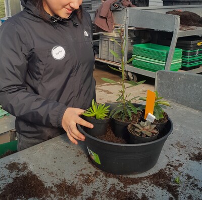 Zukunftstag 2025 im Gartenbau - © Christine Hahne Zukunftstag 2025 im Gartenbau