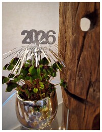 2026 - Das Jahr der Frauen in der Landwirtschaft