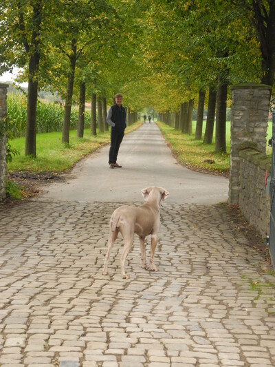 Eine eindrucksvolle Hofzufahrt - © Dr. Hans-Gerd Brunken Eine eindrucksvolle Hofzufahrt