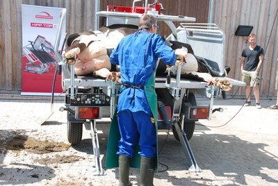 Echemer Sommertagung Klaue 2018 - © Susan Wohlmuth-Meinicke Echemer Sommertagung Klaue 2018