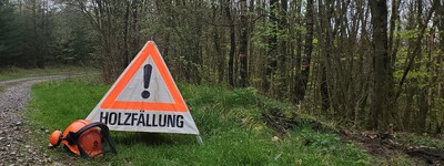 Motors&auml;genlehrgang Holzf&auml;llung