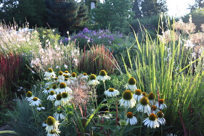 Sch&ouml;ne Staudenfl&auml;chen