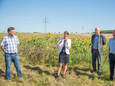Landwirt Matthias Johns, Agrarministerin Miriam Staudte, Kammerpräsident Gerhard Schwetje und NABU-Geschäftsführer Dr. Holger Buschmann (v.l.) auf einer Fläche speziell für den Rebhuhnschutz nahe des Wolfenbütteler Ortsteils Leinde. - © Wolfgang Ehrecke Landwirt Matthias Johns, Agrarministerin Miriam Staudte, Kammerpräsident Gerhard Schwetje und NABU-Geschäftsführer Dr. Holger Buschmann (v.l.) auf einer Fläche speziell für den Rebhuhnschutz nahe des Wolfenbütteler Ortsteils Leinde.