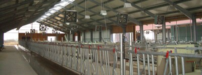 LBZ Echem - Milchviehstall L&uuml;fter und Beleuchtung