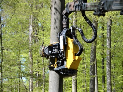 „MFK-Methode“ - © Carl Hesebeck „MFK-Methode“