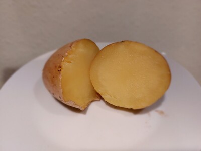 Speisewertest Öko-Kartoffeln