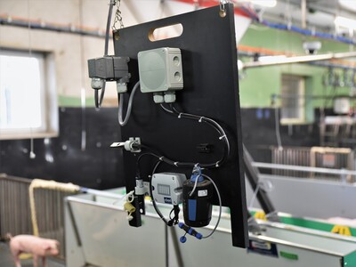 Erstmals hat die Landwirtschaftskammer Ferkel in die neue DigiSchwein-Ferkelaufzucht eingestallt.