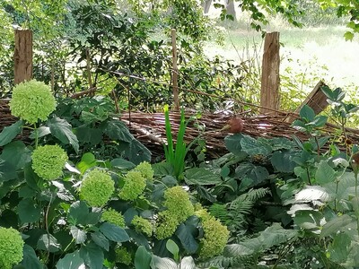 Totholzhecke - Benjeshecke als Gartenabgrenzung und Lebensraum für Tiere - © Anke Kreis Totholzhecke - Benjeshecke als Gartenabgrenzung und Lebensraum für Tiere