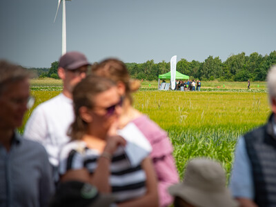 Feldtag zum Thema Landwirtschaft und Wasserschutz am 17.06.2026 in Schw&uuml;blingsen (Uetze/Region Hannover).