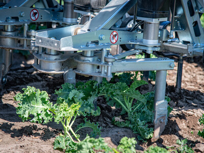 Vorstellung des autonomen Hackroboters Farming GT in einem Gr&uuml;nkohl-Bestand beim 5. Feldtag Gem&uuml;sebau am 13.08.2026 auf den Fl&auml;chen von Hof Krull in Burgdorf/Otze.
