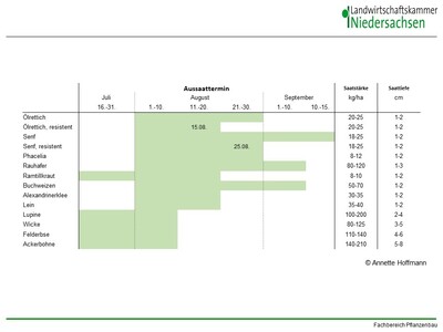 Aussaattermine Zwischenfr&uuml;chte